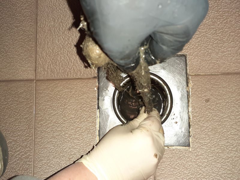 Basement Drain Unclogging