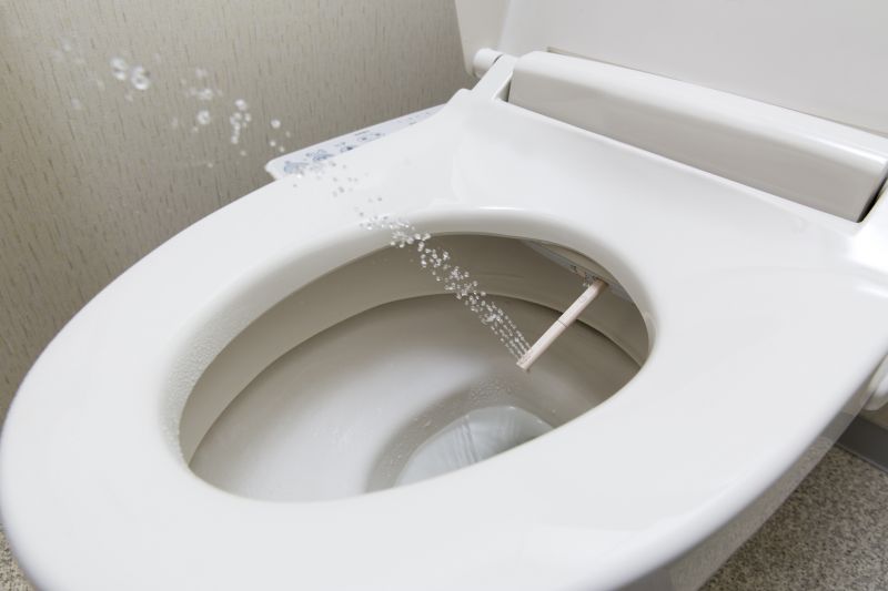 Bidet Service