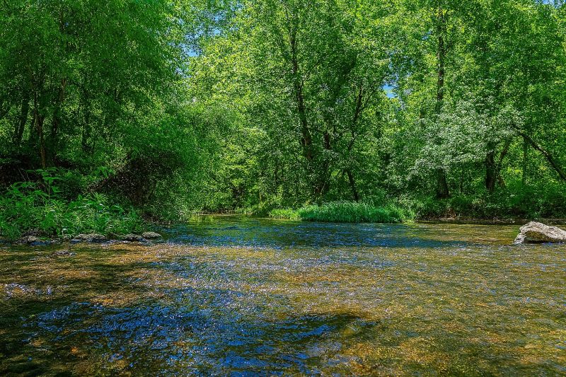 Drain Clearing Service in Smyrna, TN