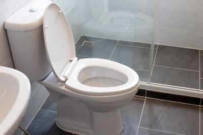New Toilet Installation