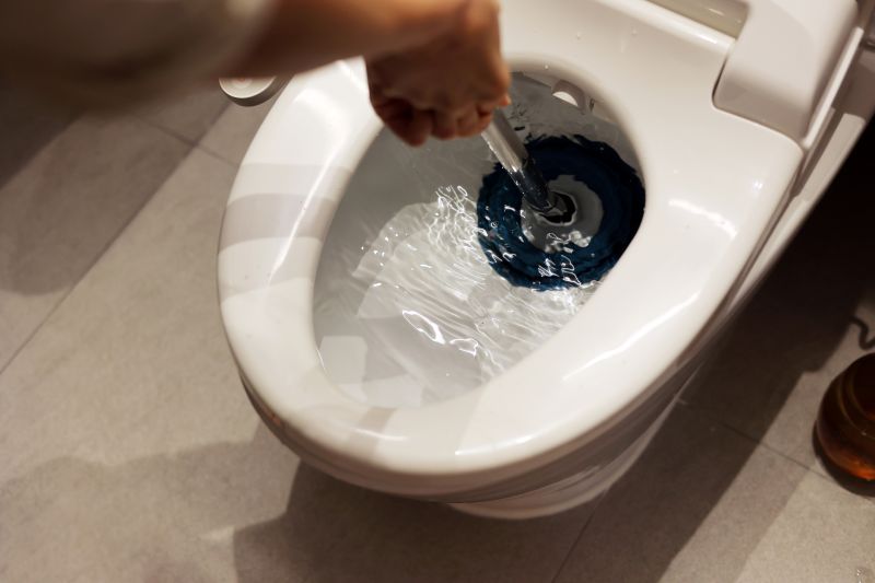 Overflowing Toilet Repair
