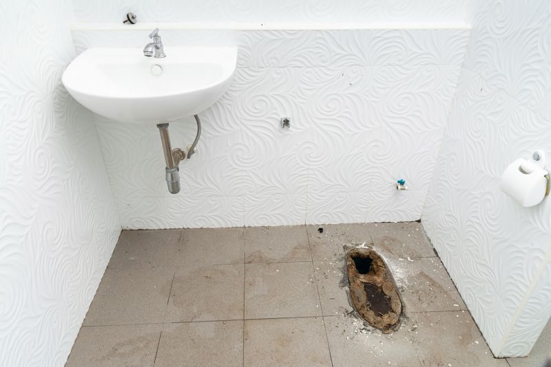Toilet Removal